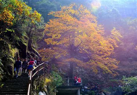 大明山|大明山二日游